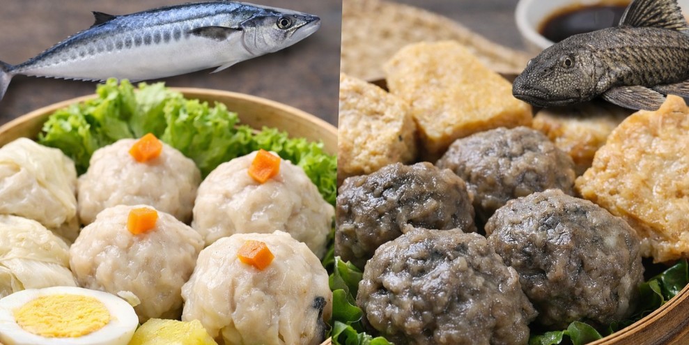 Siomay and Catfish Siomay