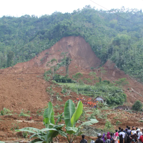 Surveiying orang utan death landslide