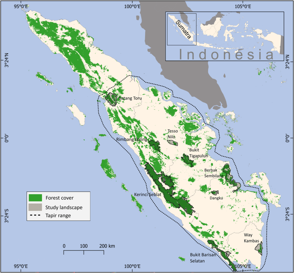 Peta persebaran tapir indonesia
